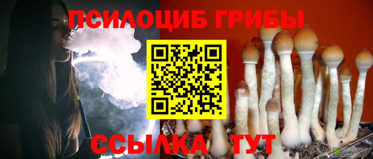 Галлюциногенные грибы мухоморы  Вход с VPN  Новоалтайск  цены наркотик  Псилоцибиновые грибы прущие грибы 