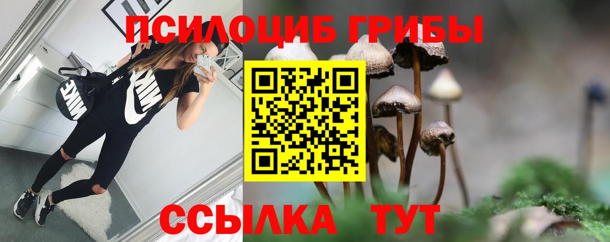 Псилоцибиновые грибы мухоморы Новоалтайск